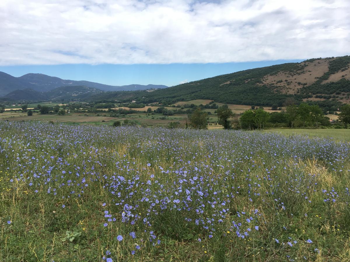 Tenuta Due Laghi Rivodutri Eksteriør bilde